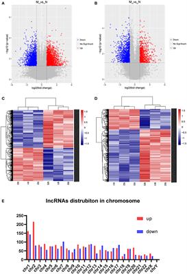 Long Non-coding RNA Expression Profile and Functional Analysis in Children With Acute Fulminant Myocarditis